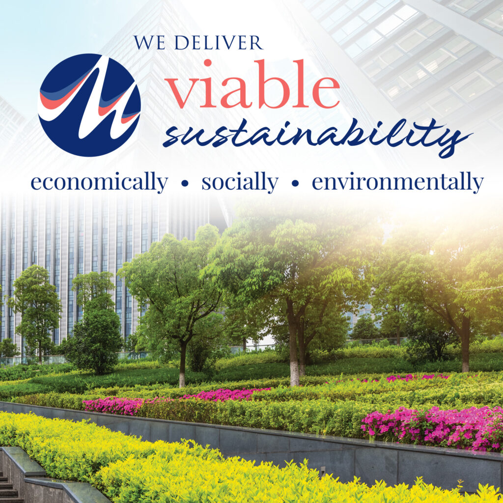 What Is Viable Sustainability?